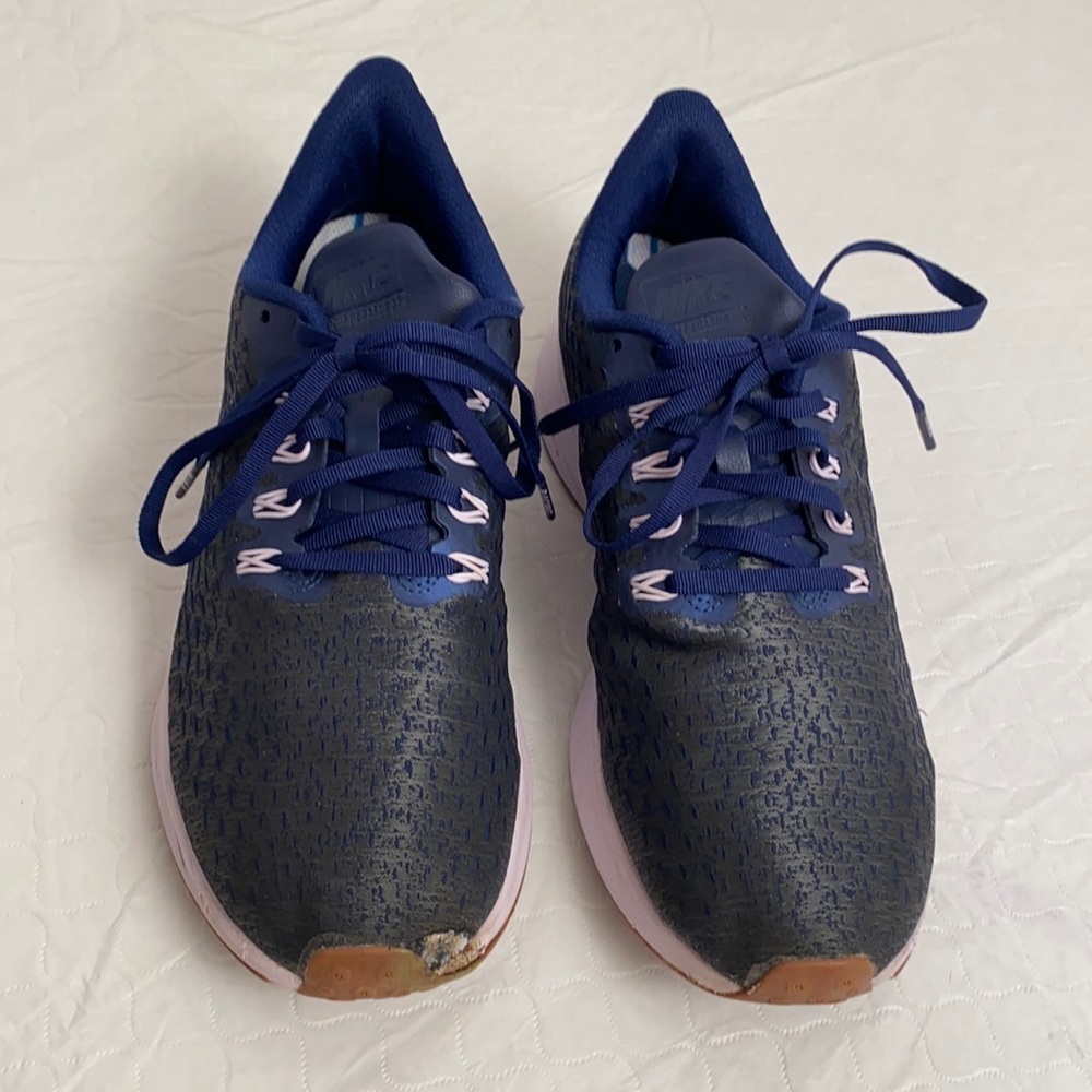 Nike AH8392-400 Air Pegasus Premium running sneakers
size 10